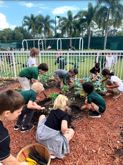 Gr. 1 Gardening