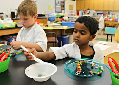 prekindergarten in science